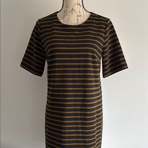 Loft M Striped Black and Brown Dress